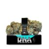 best plug n play strain