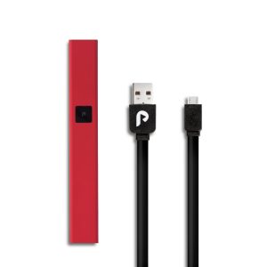 PlugPlay Battery Guide: Choosing the Right Power for Your Pod